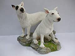 English bull terrier for sale  Delivered anywhere in UK