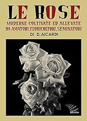 Rose moderne coltivate usato  Spedito ovunque in Italia 