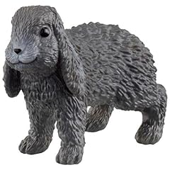 Lop eared rabbit for sale  Delivered anywhere in USA 