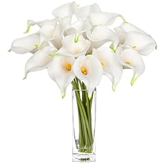 Dilatata fake flowers for sale  Delivered anywhere in USA 
