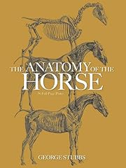 Anatomy horse for sale  Delivered anywhere in UK