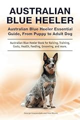 Australian blue heeler. for sale  Delivered anywhere in USA 
