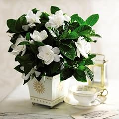 Gardenia deluxe fragrant for sale  Delivered anywhere in UK