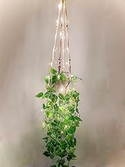 Fake hanging plants for sale  Delivered anywhere in USA 