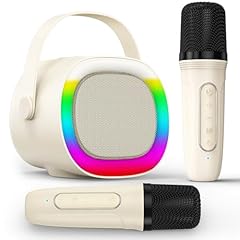 Lenrue karaoke machine for sale  Delivered anywhere in USA 