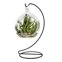 Cxle ornament display for sale  Delivered anywhere in USA 