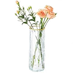 Gemsaya blumenvase transparent gebraucht kaufen  Wird an jeden Ort in Deutschland
