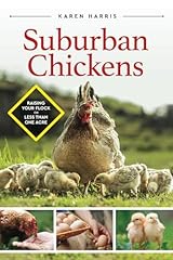 Suburban chickens raising for sale  Delivered anywhere in USA 