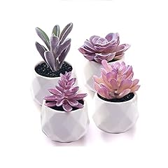 Cadnly fake succulent for sale  Delivered anywhere in USA 