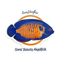 Reefhorse decal fish for sale  Delivered anywhere in USA 