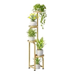 Bamworld corner plant for sale  Delivered anywhere in USA 