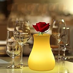 Acmhnc lampe vase d'occasion  Livré partout en France