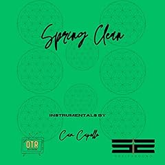 Spring clean usato  Spedito ovunque in Italia 