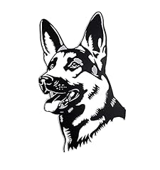German shepard belgian for sale  Delivered anywhere in USA 