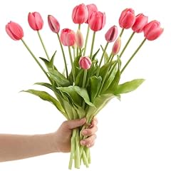 Amore florals pcs for sale  Delivered anywhere in USA 