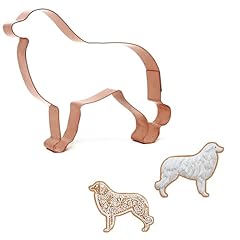 Fussy pup great for sale  Delivered anywhere in USA 