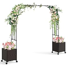 Homasis arco giardino usato  Spedito ovunque in Italia 