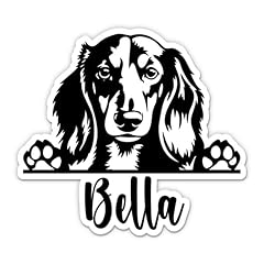 Long haired dachshund for sale  Delivered anywhere in USA 