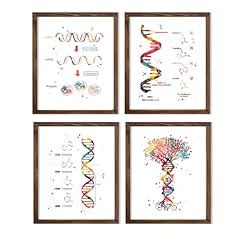 Dna rna gene for sale  Delivered anywhere in USA 