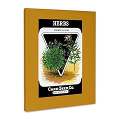 3drose herbs summer for sale  Delivered anywhere in USA 