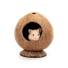 Andwe coconut hut for sale  Delivered anywhere in UK