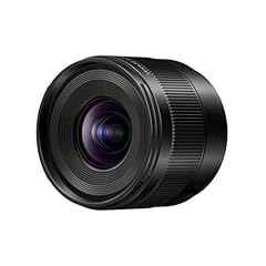 Panasonic lumix micro usato  Spedito ovunque in Italia 