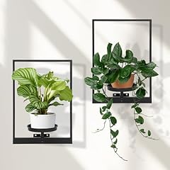 Storenization wall plant for sale  Delivered anywhere in USA 