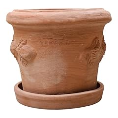 Teramico vaso fiori usato  Spedito ovunque in Italia 