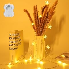 Ffzzkj sterne lichterkette gebraucht kaufen  Wird an jeden Ort in Deutschland