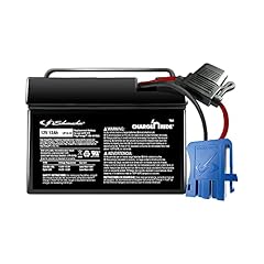 Schumacher electric 12v for sale  Delivered anywhere in USA 