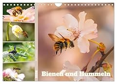 Bienen und hummeln for sale  Delivered anywhere in USA 