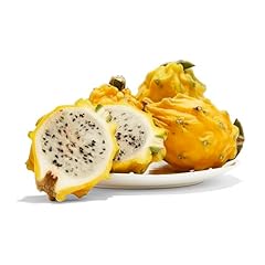 Yellow dragonfruit for sale  Delivered anywhere in USA 