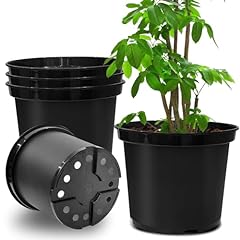 Rootrimmer gallon plants for sale  Delivered anywhere in USA 