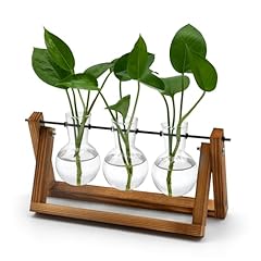 Plant propagation station for sale  Delivered anywhere in USA 