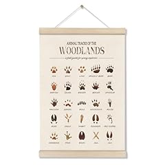 Doi lanee woodland for sale  Delivered anywhere in USA 