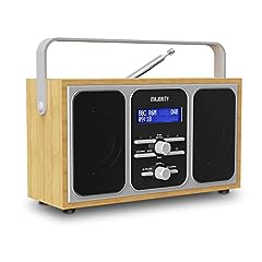 Dab portable radio for sale  Delivered anywhere in UK