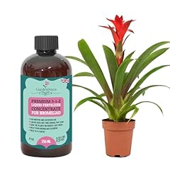 Premium liquid bromeliad for sale  Delivered anywhere in UK