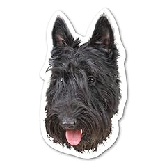 Magnet america scottish for sale  Delivered anywhere in USA 