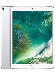 Apple 2017 ipad usato  Spedito ovunque in Italia 