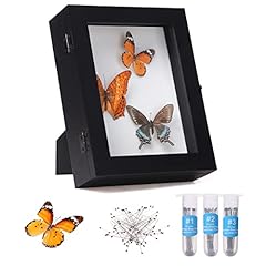 Iheipye insect display for sale  Delivered anywhere in USA 