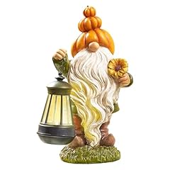 nain jardin lampe d'occasion nain jardin lampe d'occasion Livré partout en France