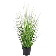 Aisamco herbe décorative d'occasion  Livré partout en Belgiqu