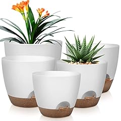 Qrrica plant pots for sale  Delivered anywhere in USA 