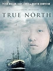 True north for sale  Delivered anywhere in UK