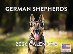 German shepherd calendar for sale  Delivered anywhere in USA 