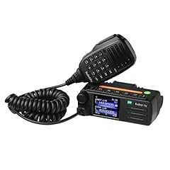 Radioddity db25 radio usato  Spedito ovunque in Italia 