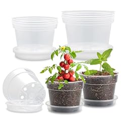 Pack inch clear for sale  Delivered anywhere in USA 