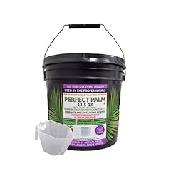 Lb. perfect palm for sale  Delivered anywhere in USA 