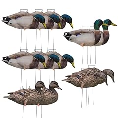 Avery banded ghg for sale  Delivered anywhere in USA 