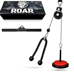Roar carrucola palestra usato  Spedito ovunque in Italia 